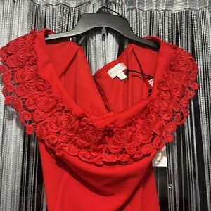 Bisou Red Dress